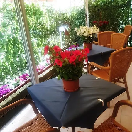 圣皮埃尔酒店 3* 里米尼